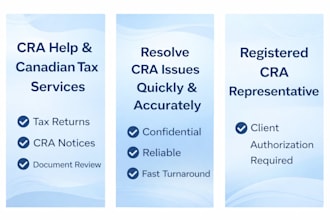 prepare canadian tax returns and help with cra notices