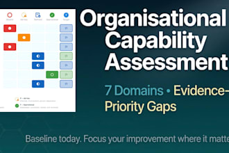 assess your capabilities, identify key gaps, and recommend priority action