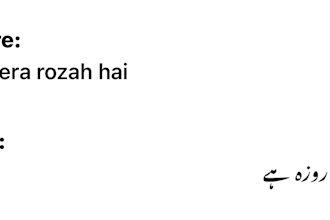do urdu typing from handwritten notes or roman urdu
