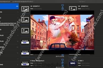 professionally configure iptv player with epg and playlist setup