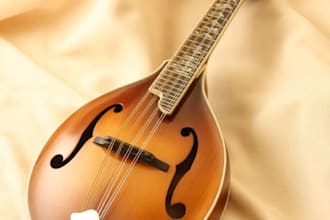 deliver a top quality mandolin recording for your project