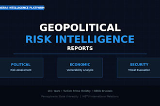 deliver a professional geopolitical or country risk analysis report