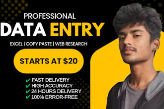 do fast and accurate data entry, excel, copy paste