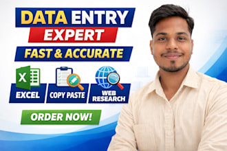 do accurate data entry, PDF to excel, copy paste and web research