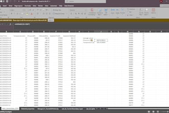 data entry, excel works and personal assistant