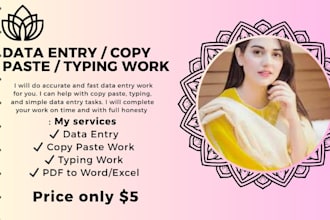 do excel data entry, copy paste and website data entry tasks