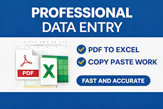 do data entry, copy paste work, pdf to excel or typing work
