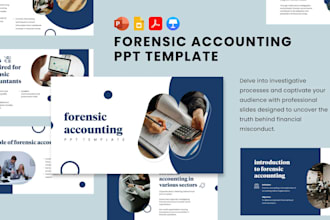 provide forensic accounting fraud investigation budgeting and financial analysis
