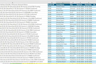 clean, format and organize large excel data