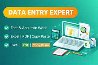 do data entry copy paste typing work