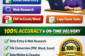 handle bulk data entry, data cleaning and excel automation