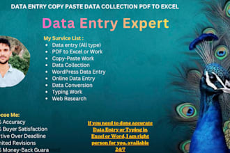 do fast and accurate data entry, excel work and copy paste