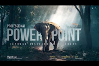 make professional powerpoint presentations for projects