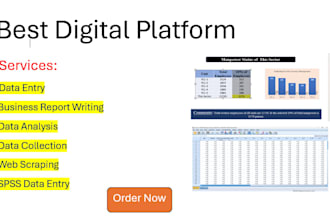 do data entry, data analysis, report writing, web scraping, crating pptx