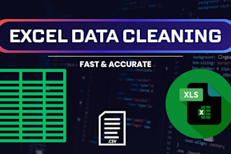 clean, format and organize your excel or CSV data professionally