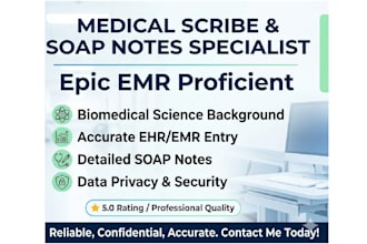 be your professional medical scribe and healthcare VA