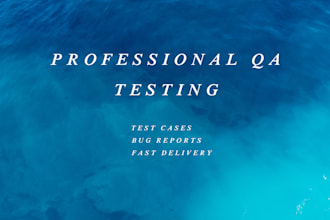 perform QA testing with detailed bug reporting