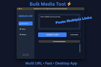 develop a custom media downloader desktop tool