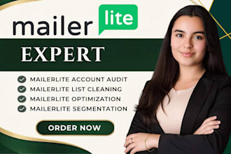 audit mailerlite account mailerlite optimization mailerlite list cleaning