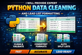 provide expert python data cleaning and lead list formatting