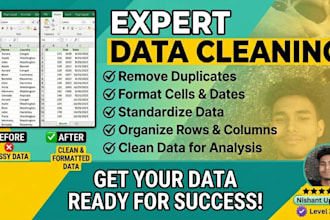 data cleaning excel work