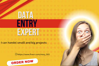 professional and fastest excel data entry and copy paste services