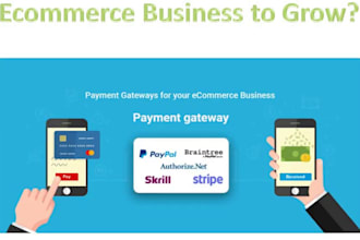 setup 2d, 3d payment link, payment processor, paypal, wise, payment gateway