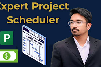 create a professional ms project gantt chart and schedule