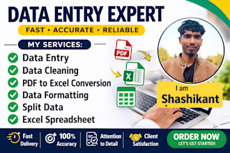 deliver top quality data entry and tally prime to enhance your business workflow