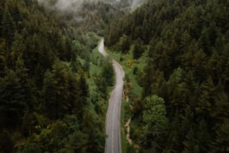 write into website to make the simple layout