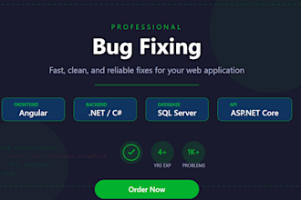 fix bugs in your angular, dot net and sql server application