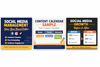 manage social media and customer support