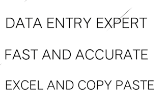 do fast and accurate data entry,copypaste and typing