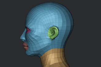 create a custom 3d realistic face model