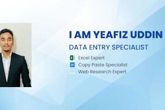 do data entry, copy paste, excel work professionally