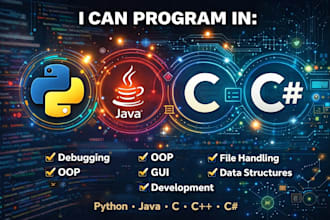 create custom python program