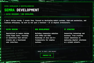 build a professional cyberpunk and minimalist website