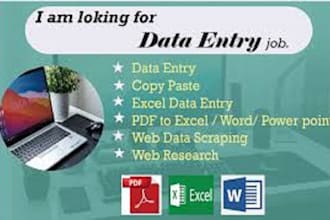 do data entry,typing and excel work
