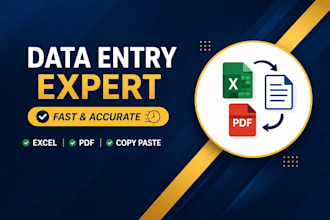 data entry excel copy paste and pdf conversion