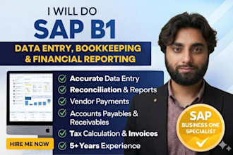 manage sap b1 accounting, reconcillation, reports and data entry
