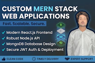 develop a custom full stack mern web application for your business