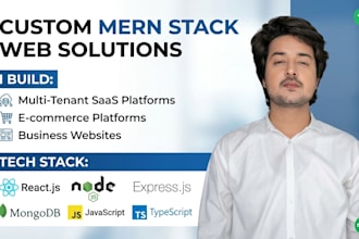 do custom full stack mern web application for your business