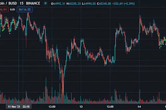 program tradingview pinescript forex trading bots indicator or strategy