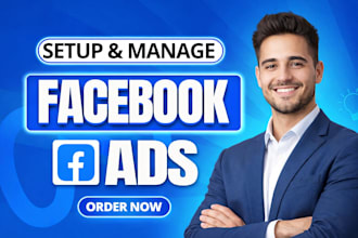 setup and manage facebook and instagram meta ads campaign with low CPM