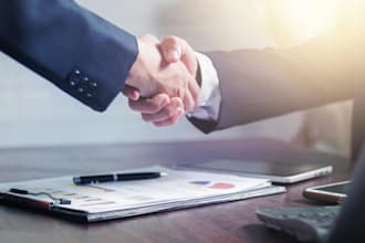 provide cross border IP consultancy, contract and agreements drafting