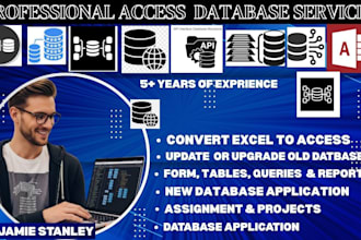 develop microsoft access database application , convert excel to access