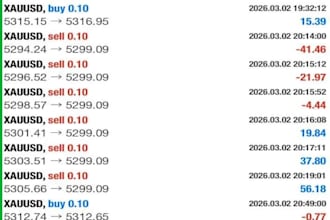 setup forex trading bot, forex bot, forex ea, forex trading robot
