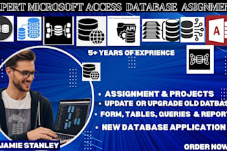 develop microsoft access database project and assignments