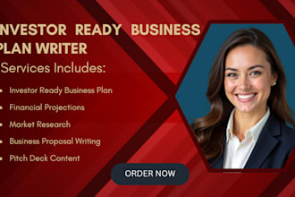 be your business plan writer for investor ready plan