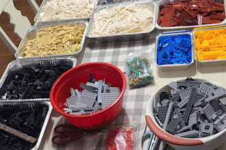 build your intricate lego sets and set them up in professional display cases